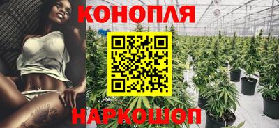 мяу мяу мука Партизанск